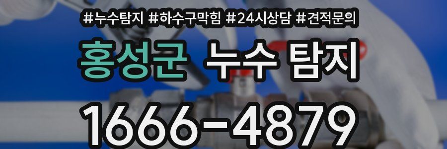 홍성군 누수 탐지