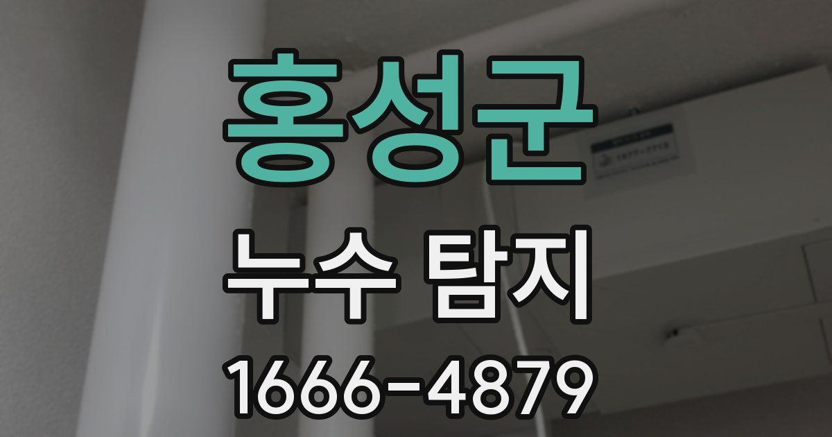 홍성군 누수 탐지