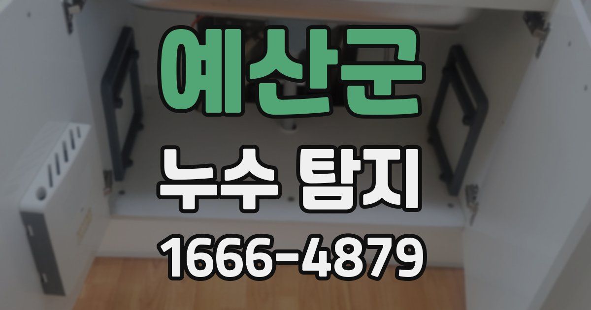 예산군 누수 탐지