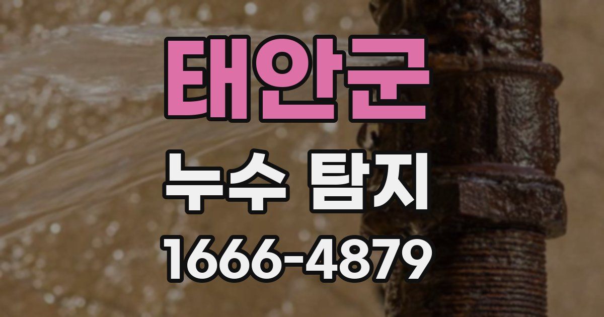 태안군 누수 탐지