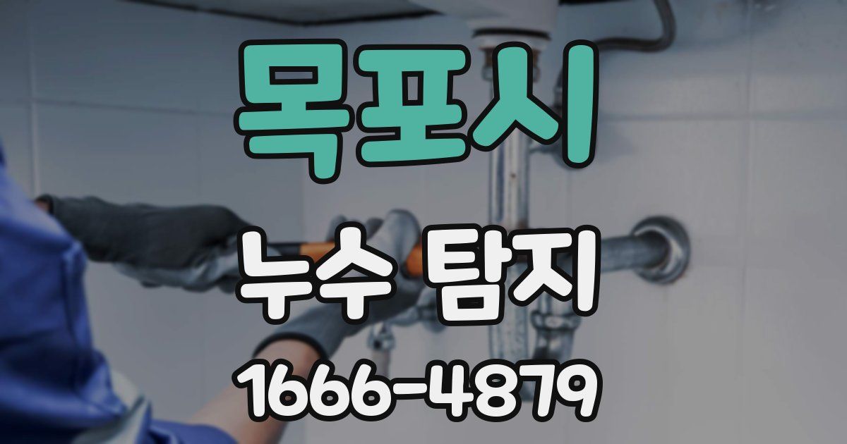 목포시 누수 탐지