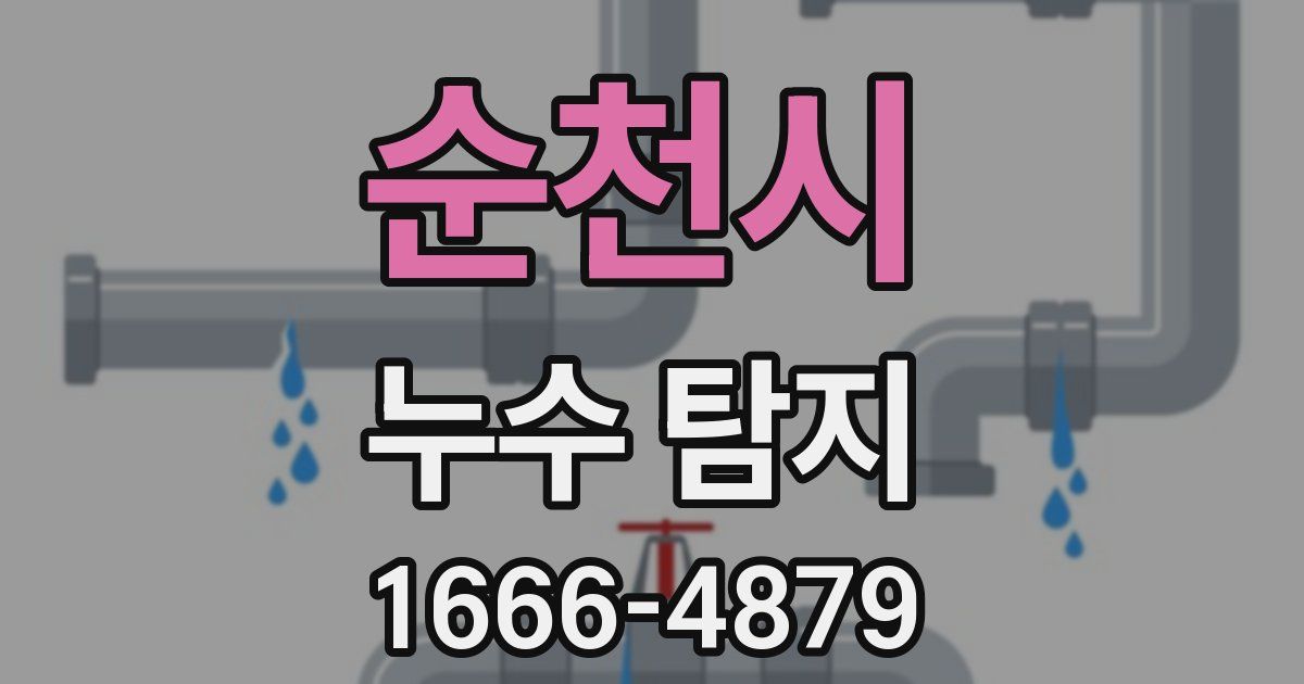순천시 누수 탐지