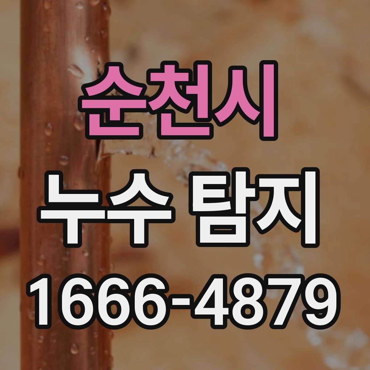 순천시 누수 탐지