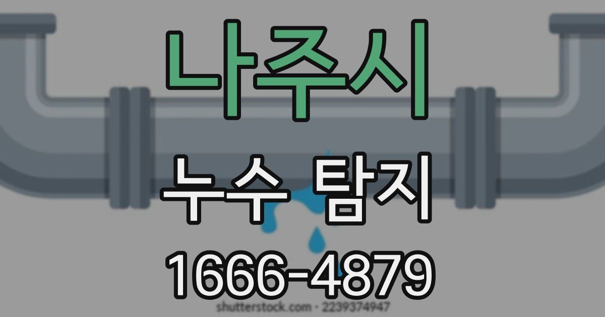 나주시 누수 탐지