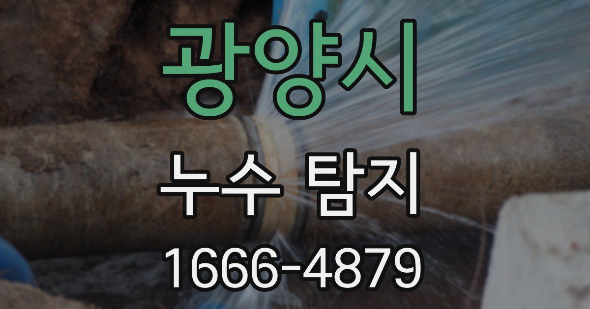 광양시 누수 탐지