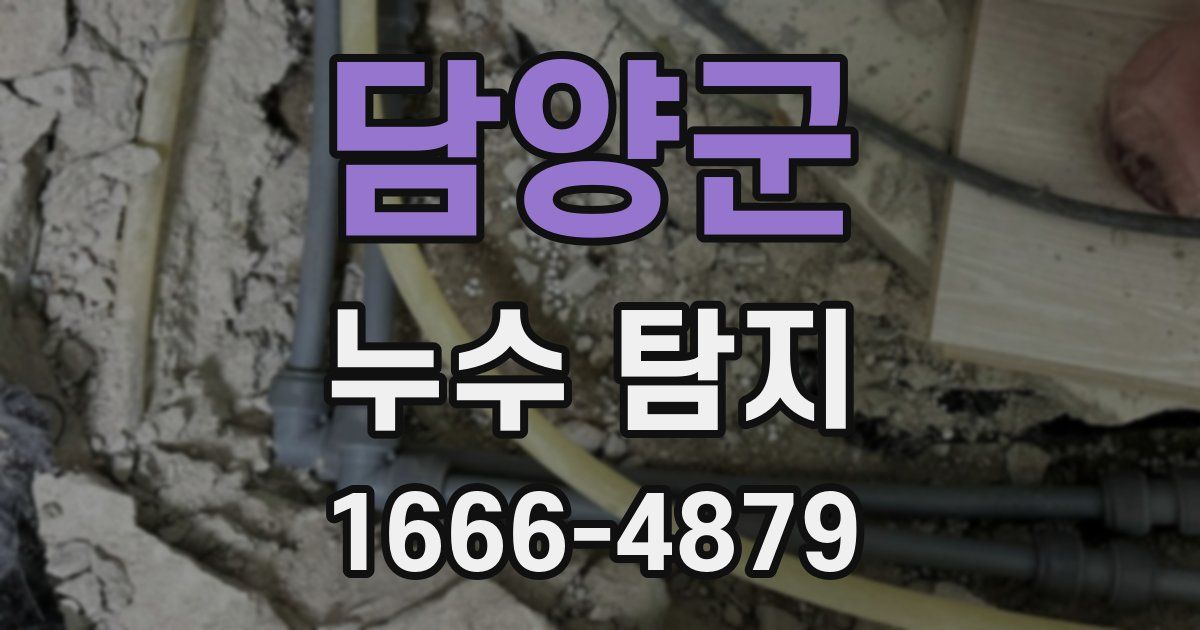 담양군 누수 탐지