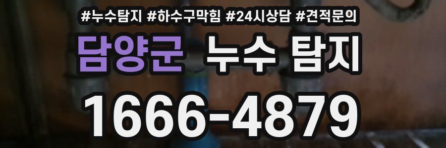 담양군 누수 탐지