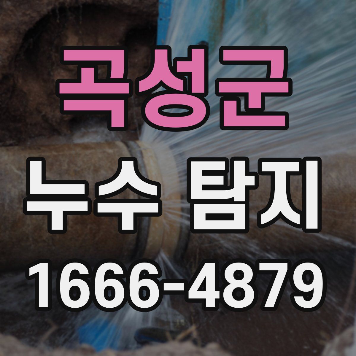 곡성군 누수 탐지