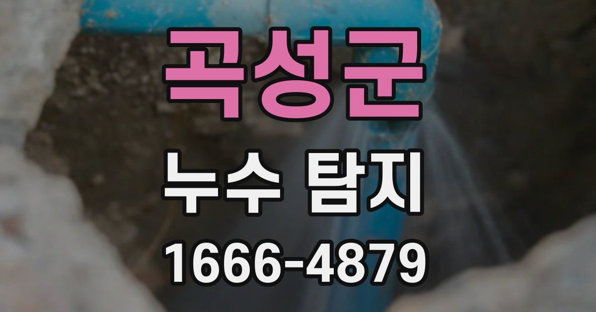 곡성군 누수 탐지