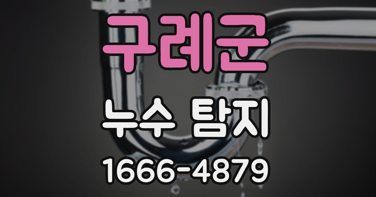 구례군 누수 탐지