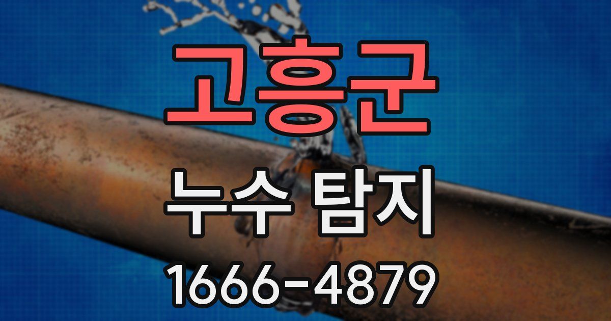 고흥군 누수 탐지
