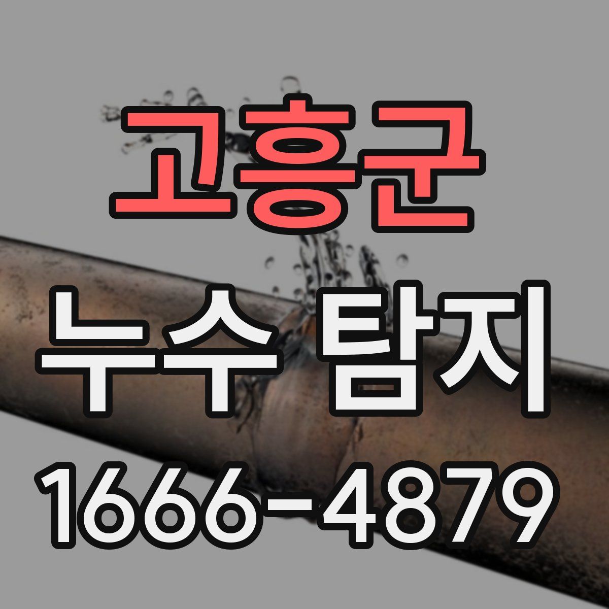 고흥군 누수 탐지