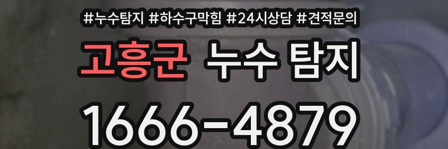 고흥군 누수 탐지