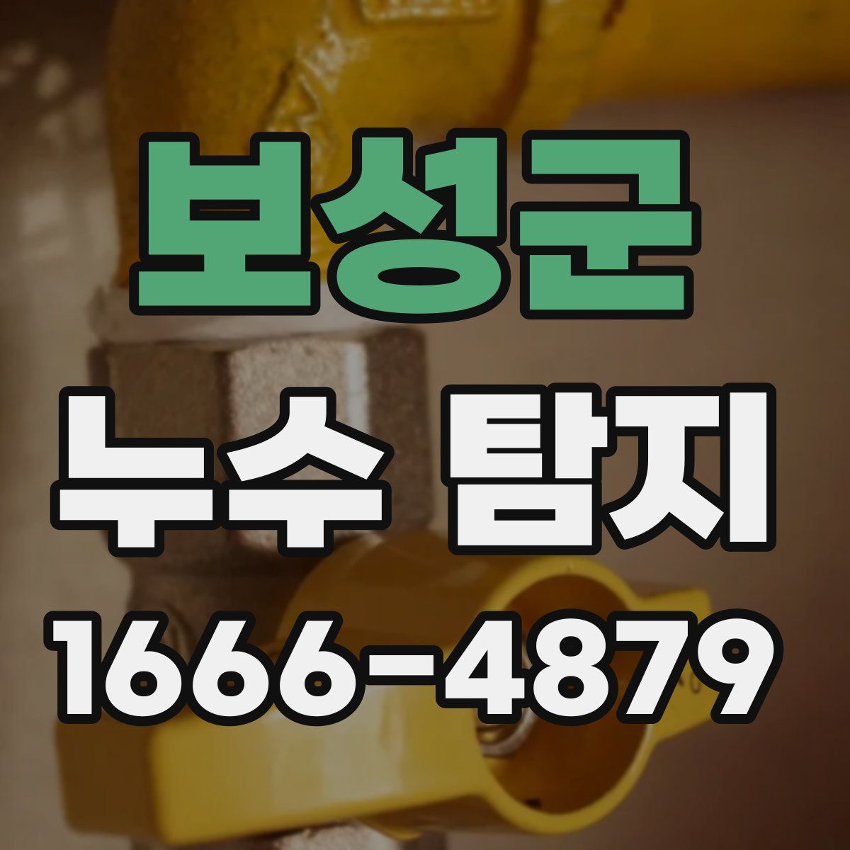 보성군 누수 탐지