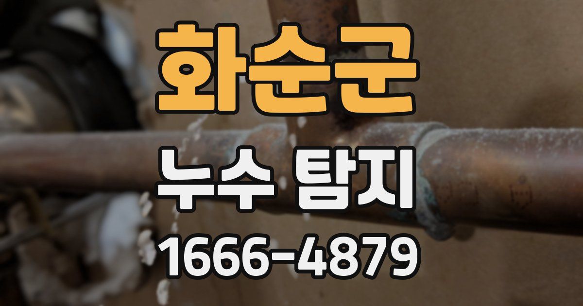 화순군 누수 탐지