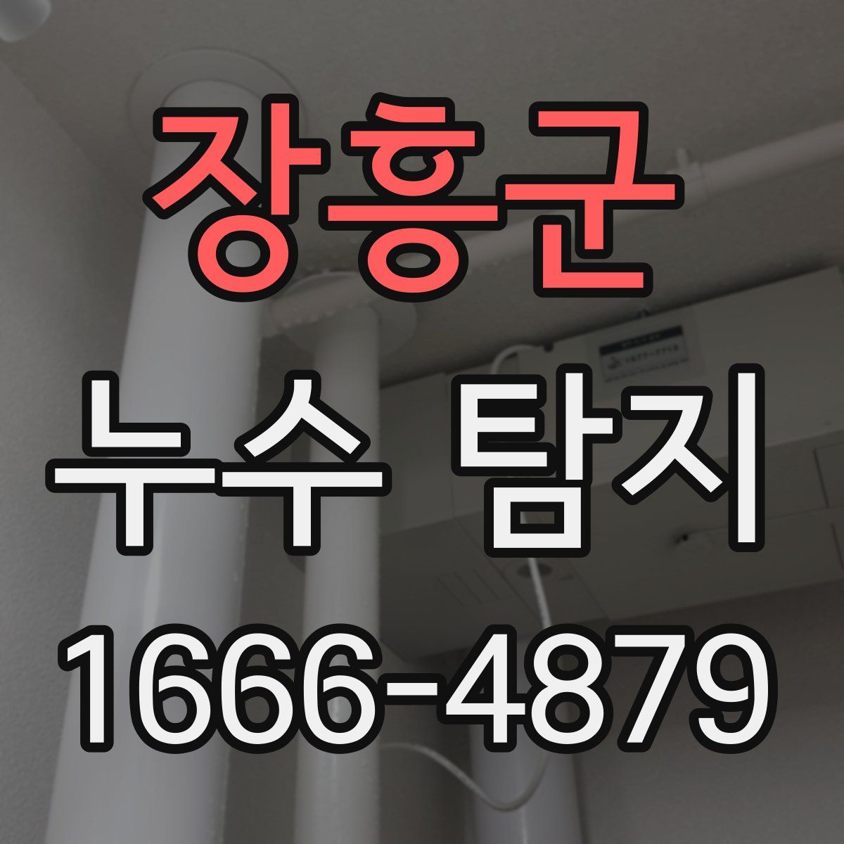 장흥군 누수 탐지