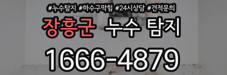 장흥군 누수 탐지