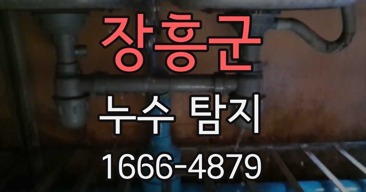 장흥군 누수 탐지