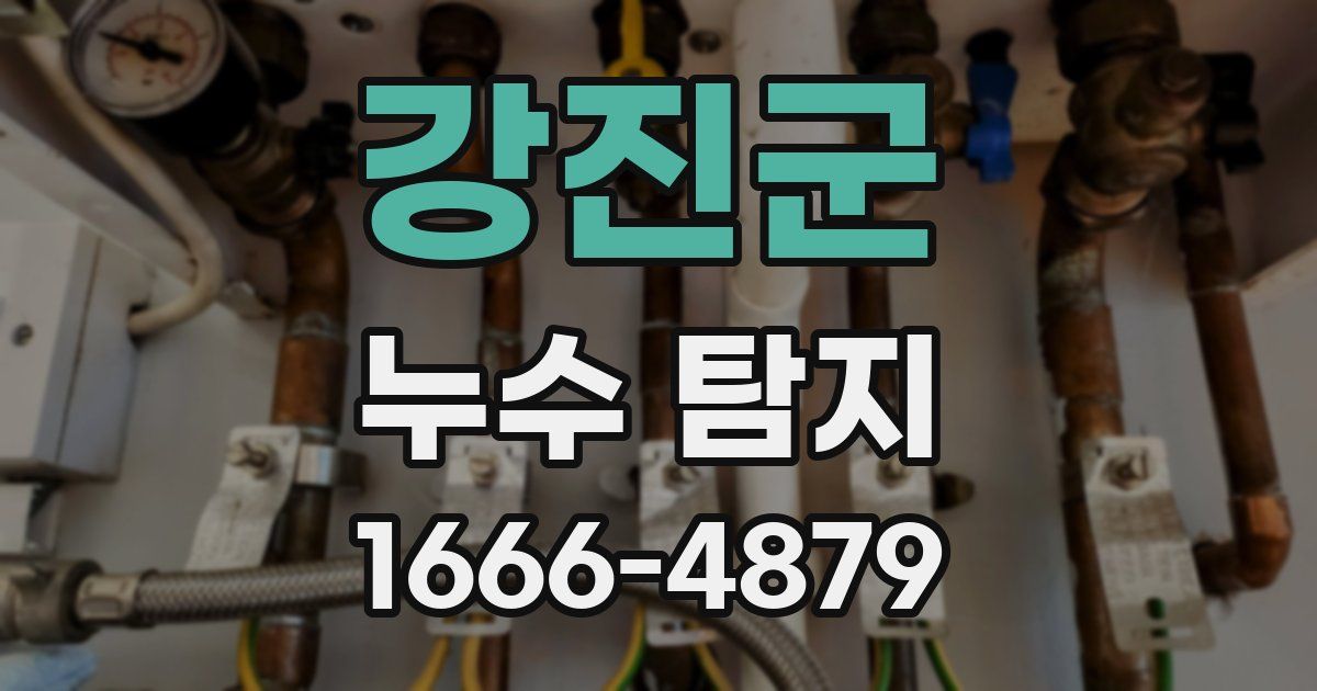 강진군 누수 탐지