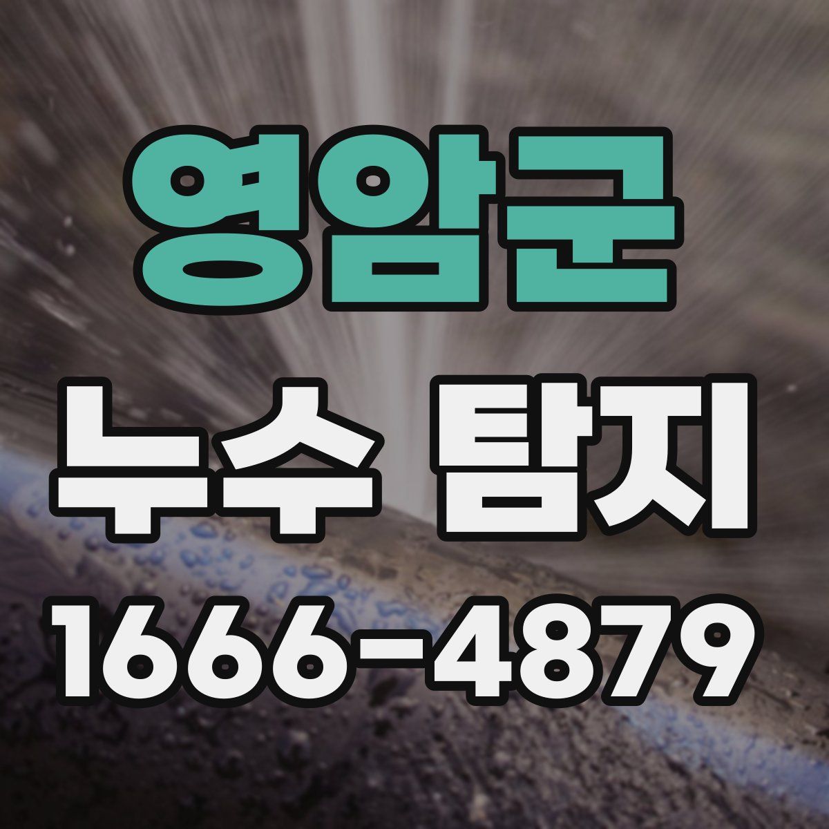 영암군 누수 탐지