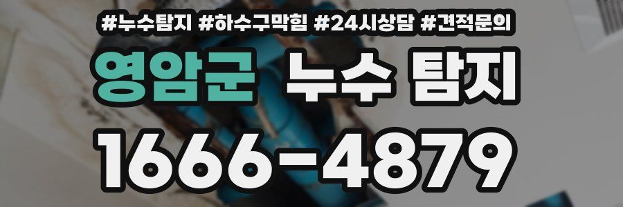 영암군 누수 탐지
