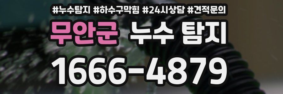 무안군 누수 탐지