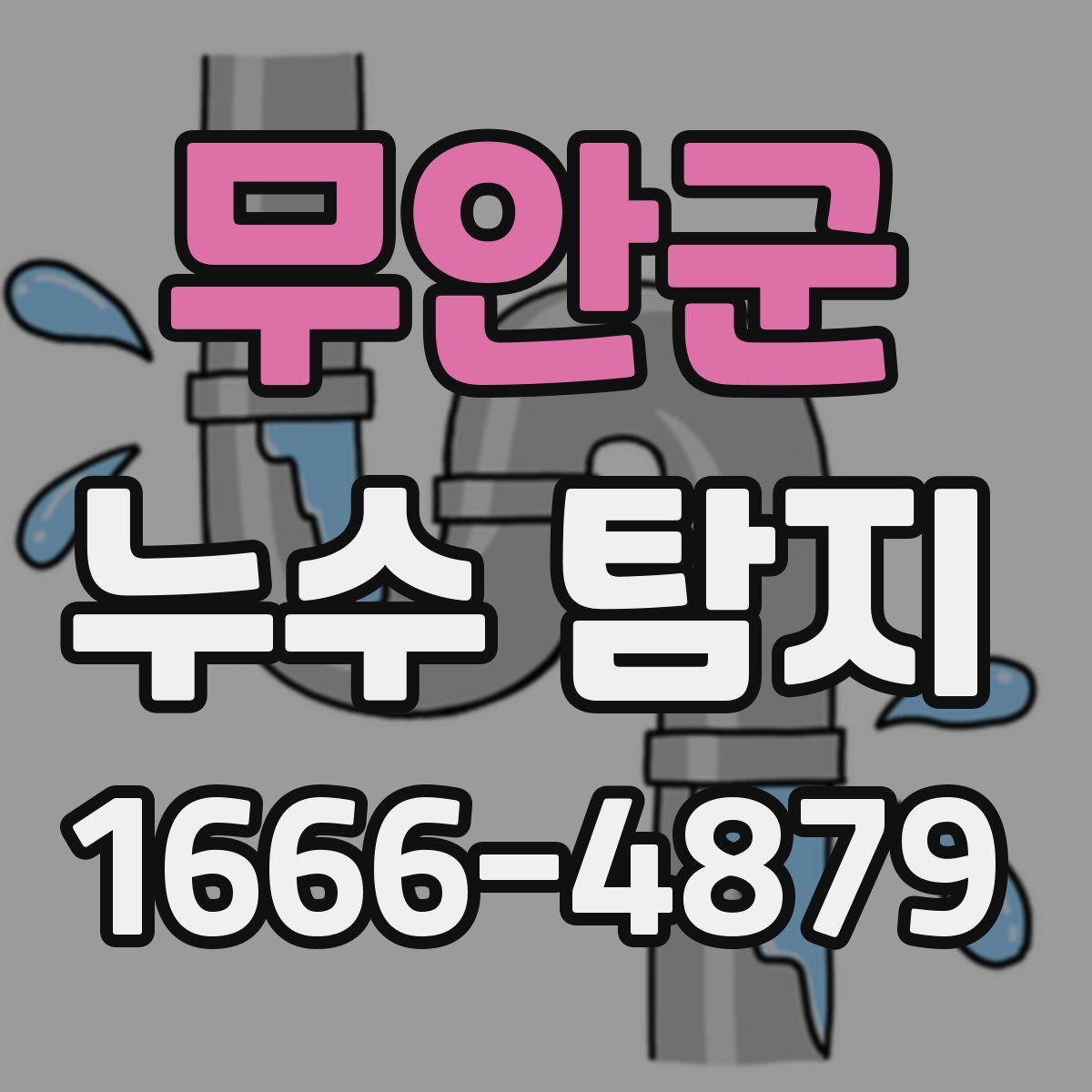 무안군 누수 탐지