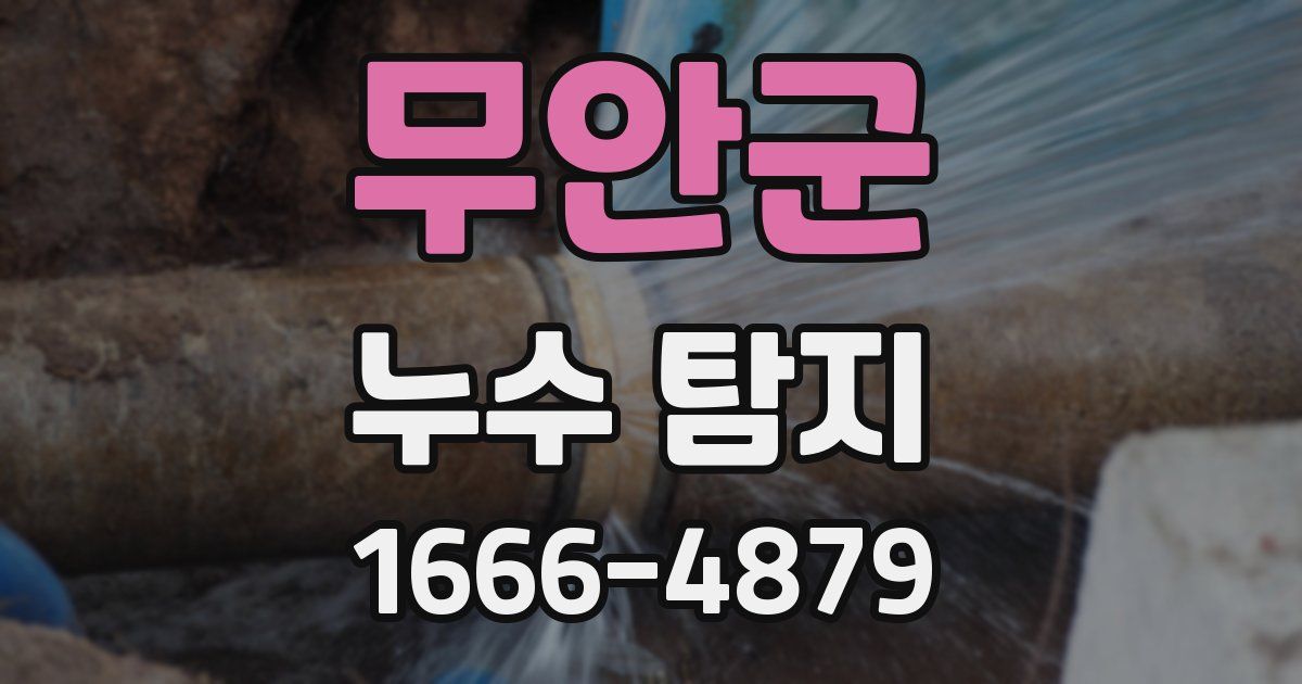 무안군 누수 탐지
