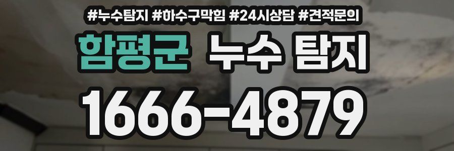 함평군 누수 탐지