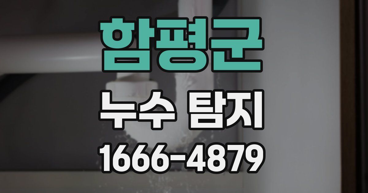 함평군 누수 탐지