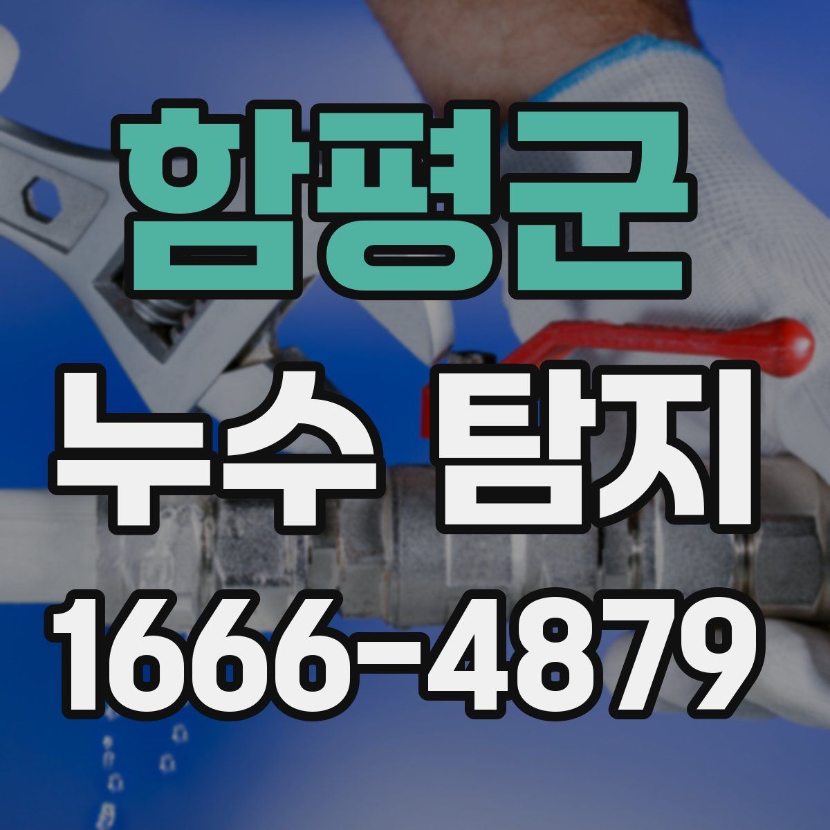 함평군 누수 탐지