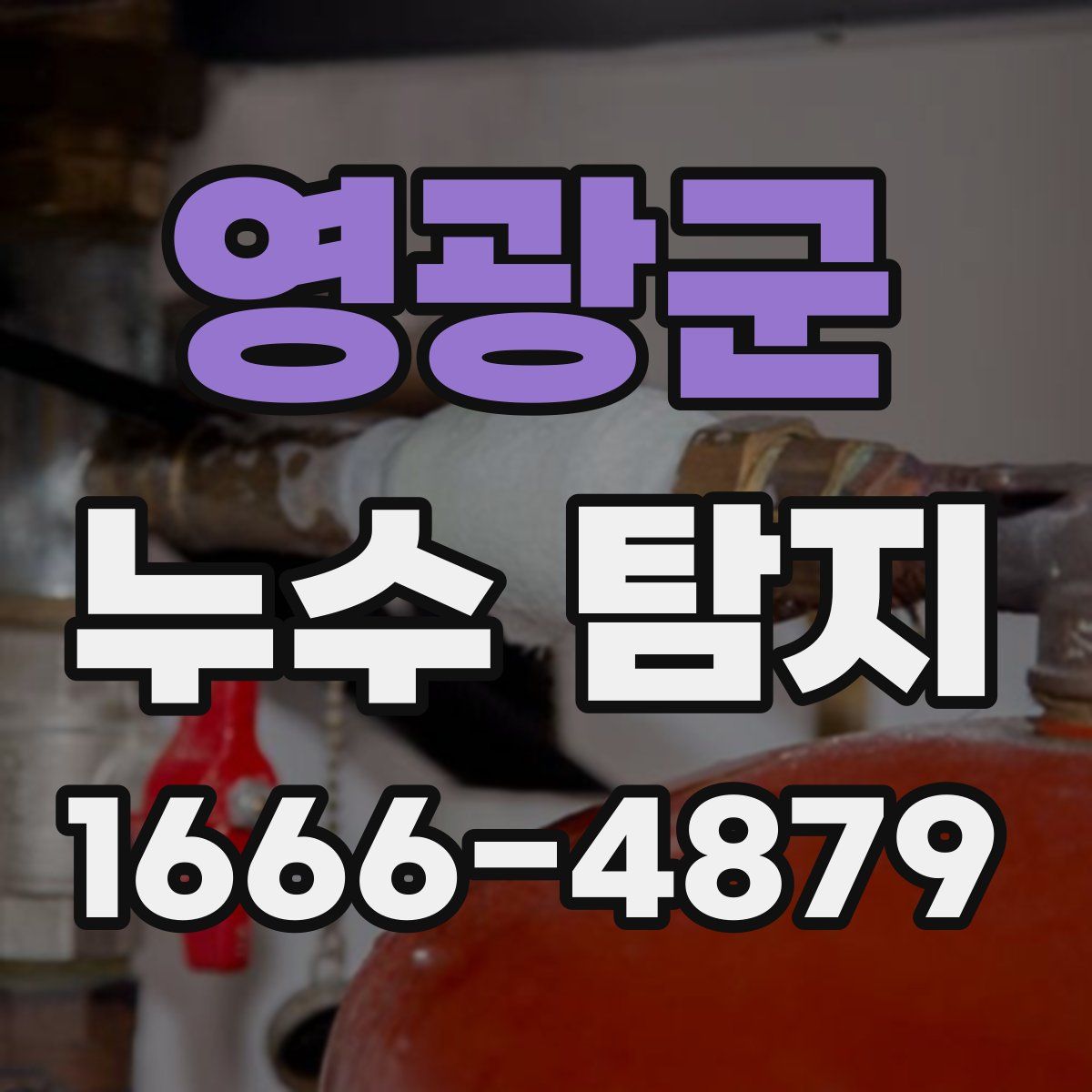 영광군 누수 탐지