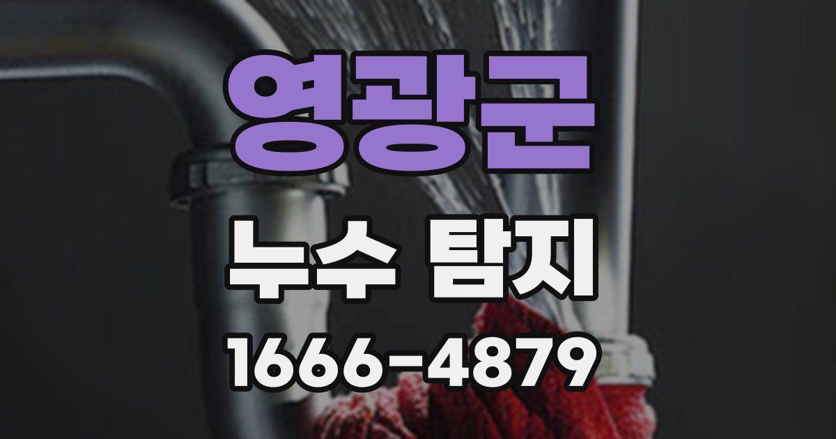 영광군 누수 탐지