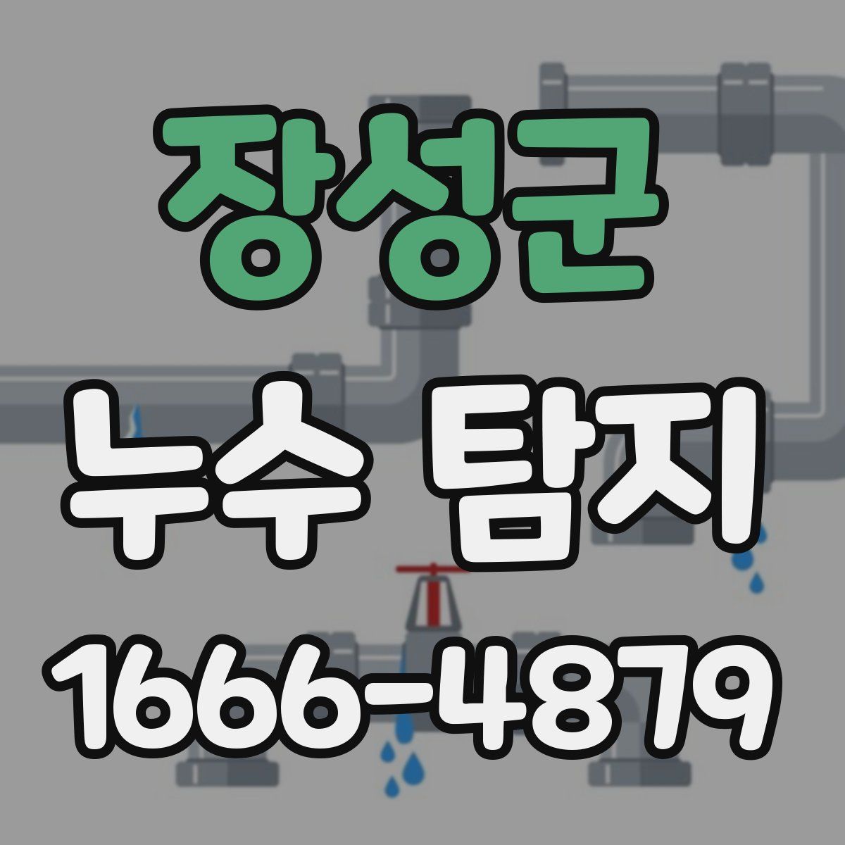 장성군 누수 탐지