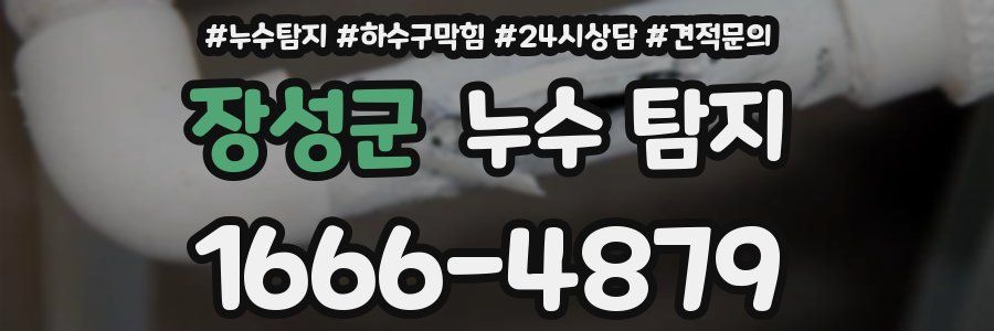 장성군 누수 탐지