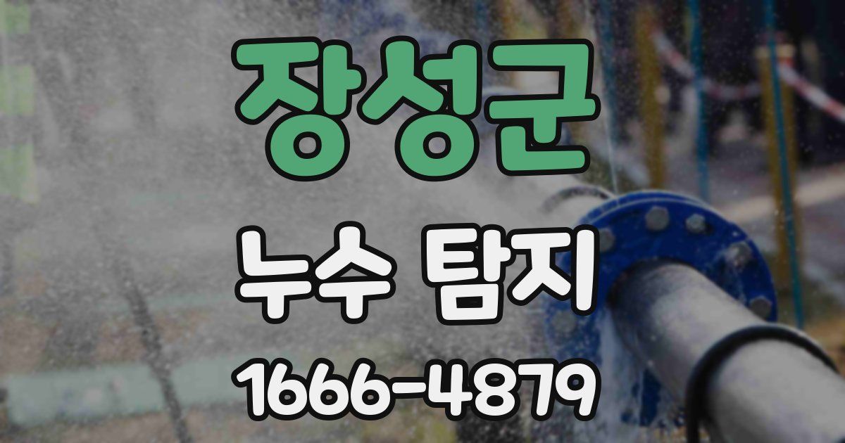 장성군 누수 탐지