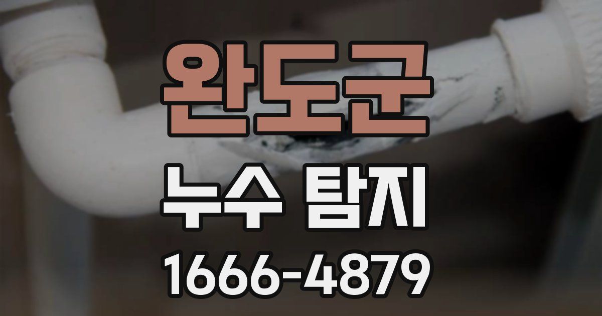 완도군 누수 탐지