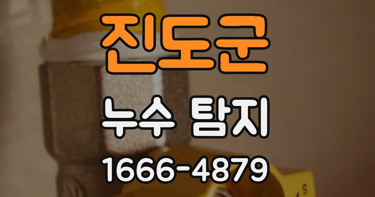 진도군 누수 탐지