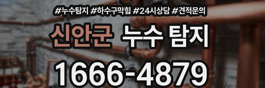 신안군 누수 탐지