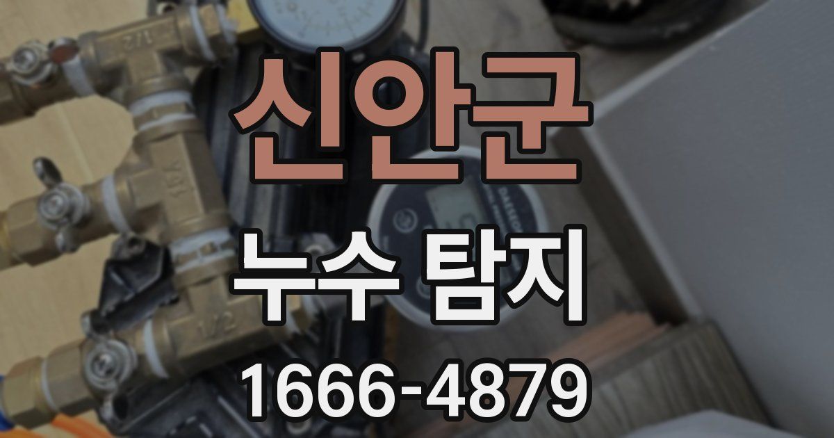 신안군 누수 탐지