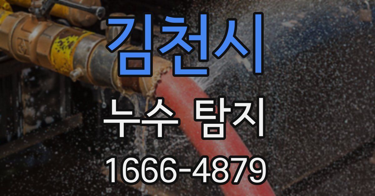김천시 누수 탐지