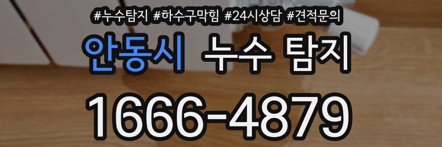 안동시 누수 탐지