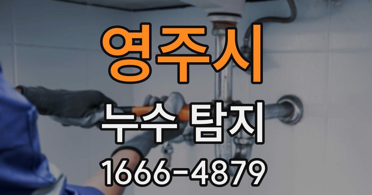 영주시 누수 탐지