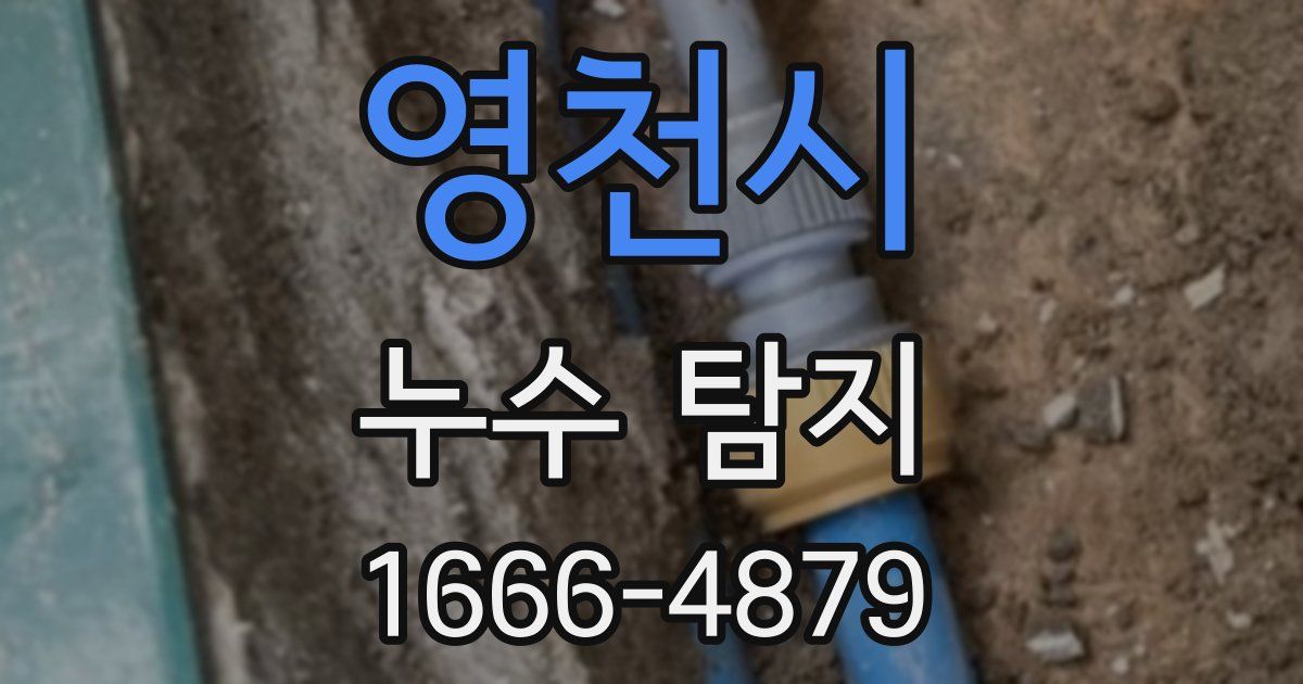 영천시 누수 탐지
