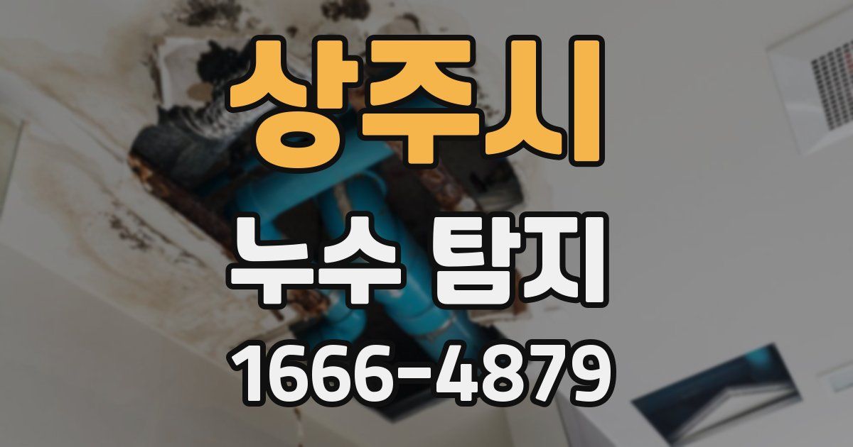 상주시 누수 탐지