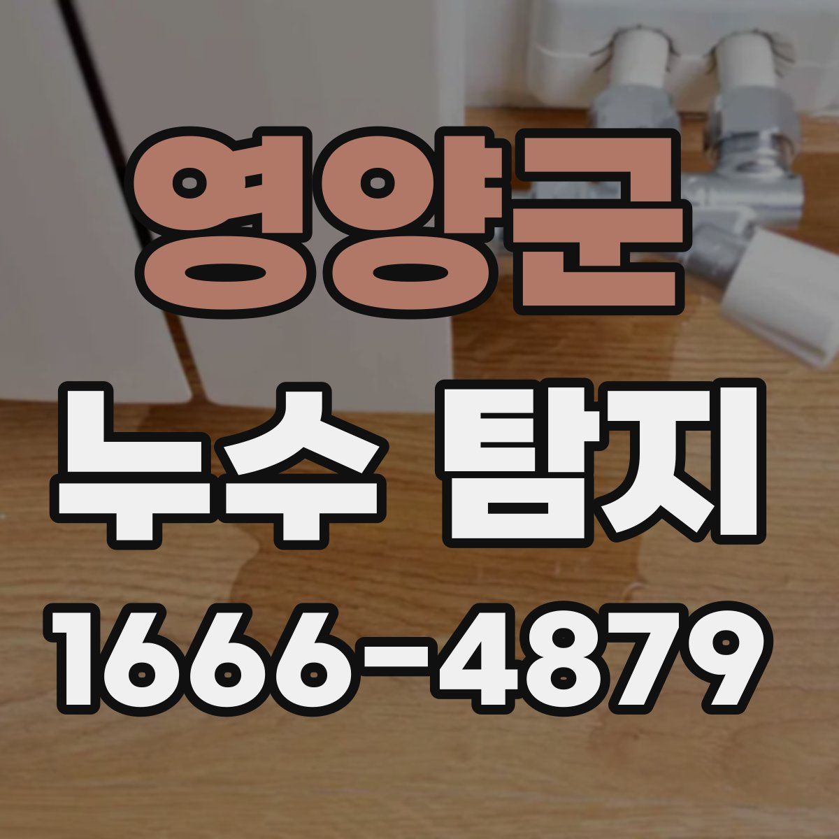 영양군 누수 탐지