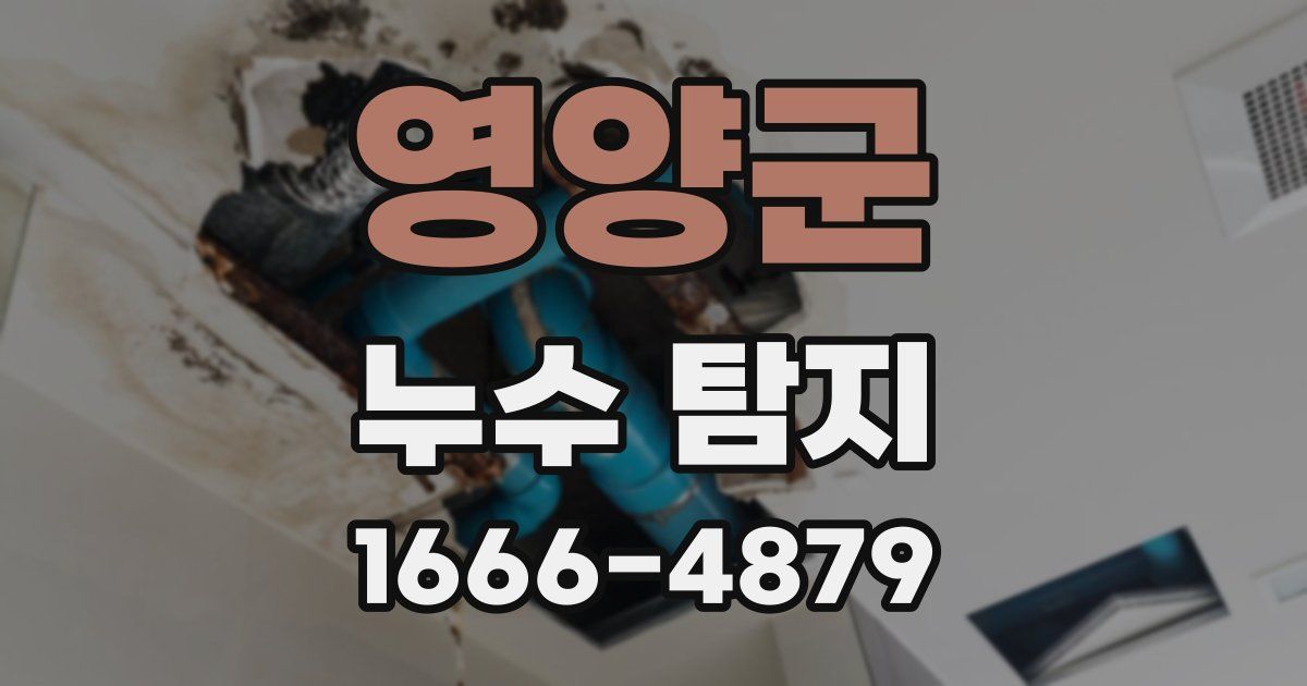 영양군 누수 탐지
