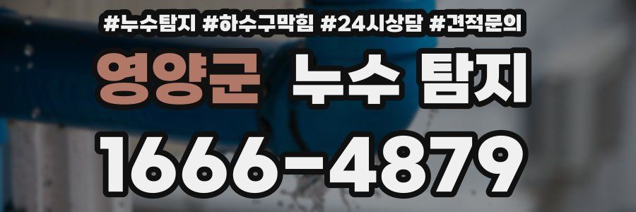 영양군 누수 탐지