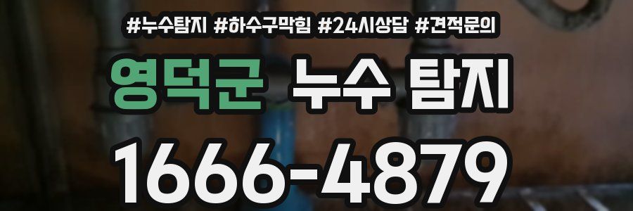 영덕군 누수 탐지