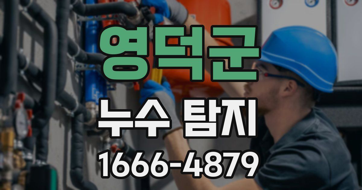 영덕군 누수 탐지